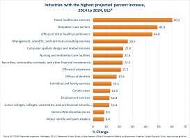 The Home health care services industry is estimated to increase by 59.7%. Other industries expecting to show large employment growth include Individual and family services (54.3%); Outpatient, laboratory and other ambulatory care services (45.4%); Consulting services (40.7%); Computer systems design services (37.6%); Offices of health practitioners (30.9%); and Construction (28.8%).  Other industries on this chart show less than a 25% growth. 