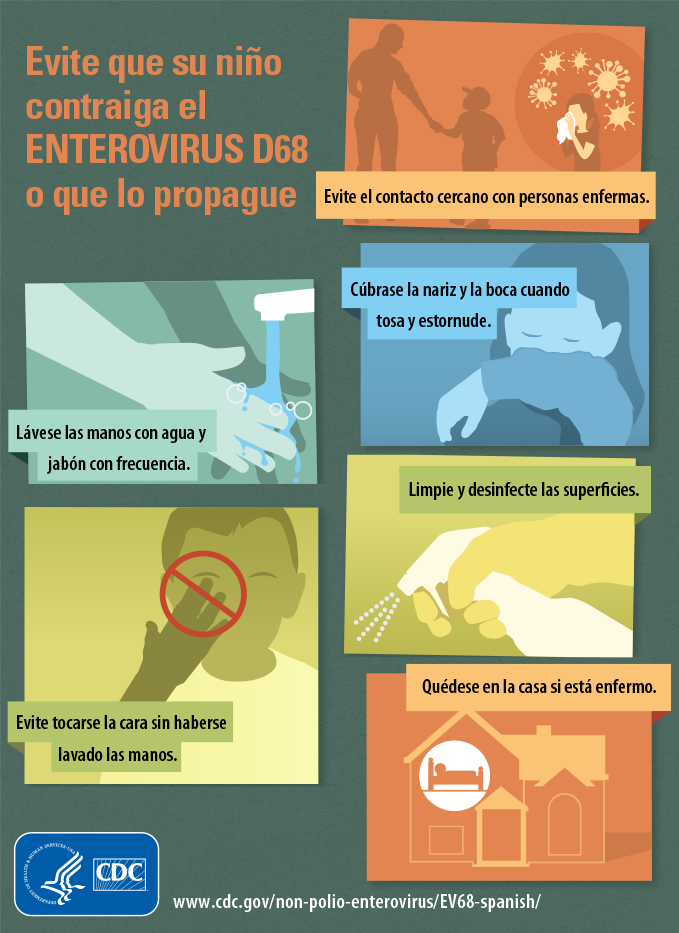 see text equivalent for Enterovirus D68 Infographic: Keep Your Child from Getting and Spreading Enterovirus D68