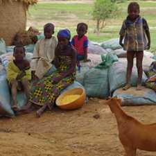 Children in Zamfara sit atop bags of lead-contaminated soil, which were removed from their village during cleanup