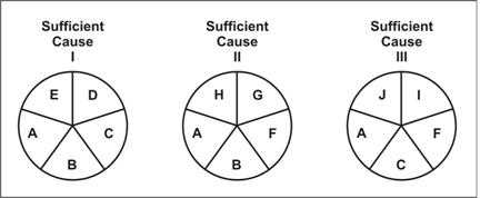 Three causal pies each with various components.