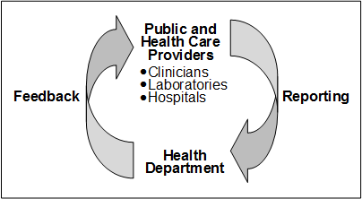 Diagram shows information flow of feedback and reporting.