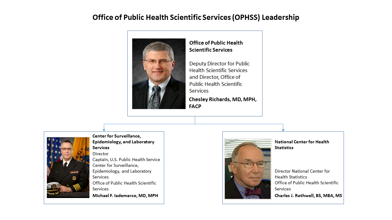    image of OPHSS OD org chart 