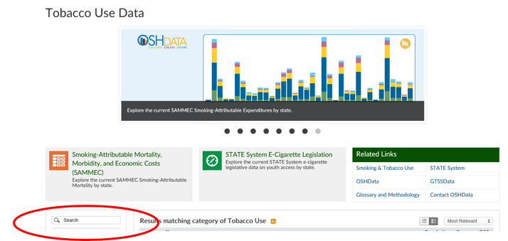 Search specific datasets using the search feature