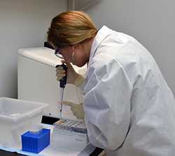 	MiSeq whole genome sequencer machine with CDC scientist working in the foreground