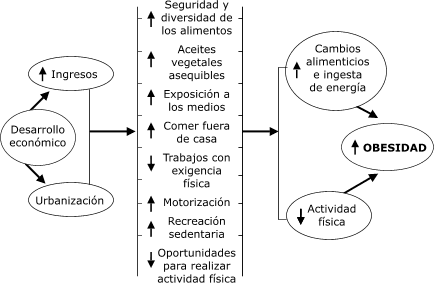 Flujograma del párrafo anterior