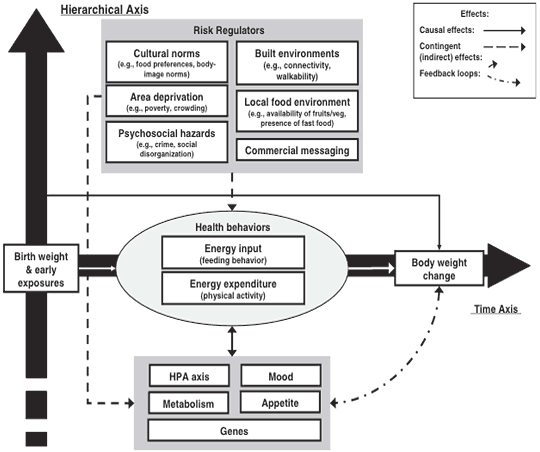 Process chart