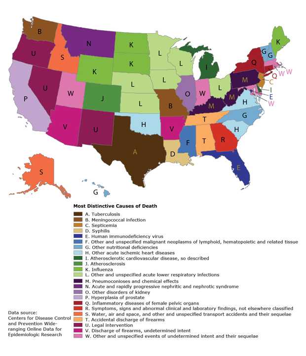 	This map is of the 50 United States plus the District of Columbia, color-coded by the most distinctive causes of death for each state.