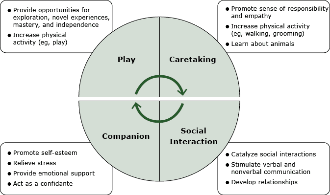 	Model for how pet dogs may influence the physical and mental health of children aged 4 to 10 years. The model summarizes study findings regarding how pet dogs promote children’s behavioral and emotional development, mental health (3,4, 11–13,30), and physical activity (6–10,26).