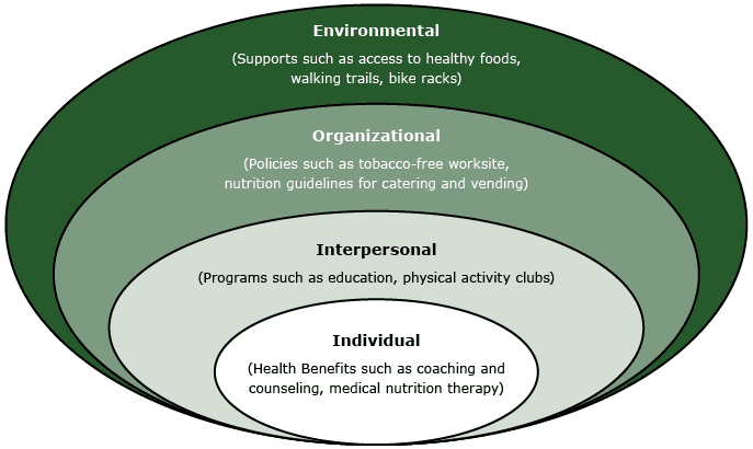 	The levels of influence from the socio-ecological model with examples of intervention strategies recommended in Prevention Partners’ WorkHealthy America and the CDC Worksite Health ScoreCard.