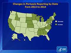 changes in pertussis reporting by state from 2013-2014. Decreased: Alabama, Alaska, Arizona, Connecticut, Georgia, Idaho, Iowa, Maine, Maryland, Massachusetts, Minnesota, Mississippi, Missouri, Montana, New Hampshire, New Mexico, New York, North Dakota, Oklahoma, South Carolina, Vermont, Virginia, Washington, Wisconsin, Wyoming. No change: Pennsylvania. Increased: Arkansas, California, Colorado, Delaware, Florida, Hawaii, Illinois, Indiana, Kansas, Kentucky, Louisiana, Michigan, Nebraska, Nevada, New Jersey, North Carolina, Ohio, Oregon, Rhode Island, South Dakota, Tennessee, Texas, Utah, West Virginia.