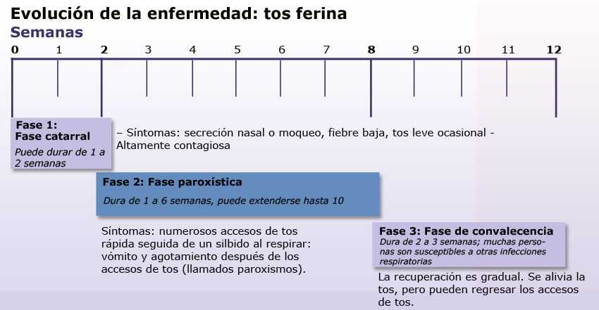 Evolución de la tos ferina