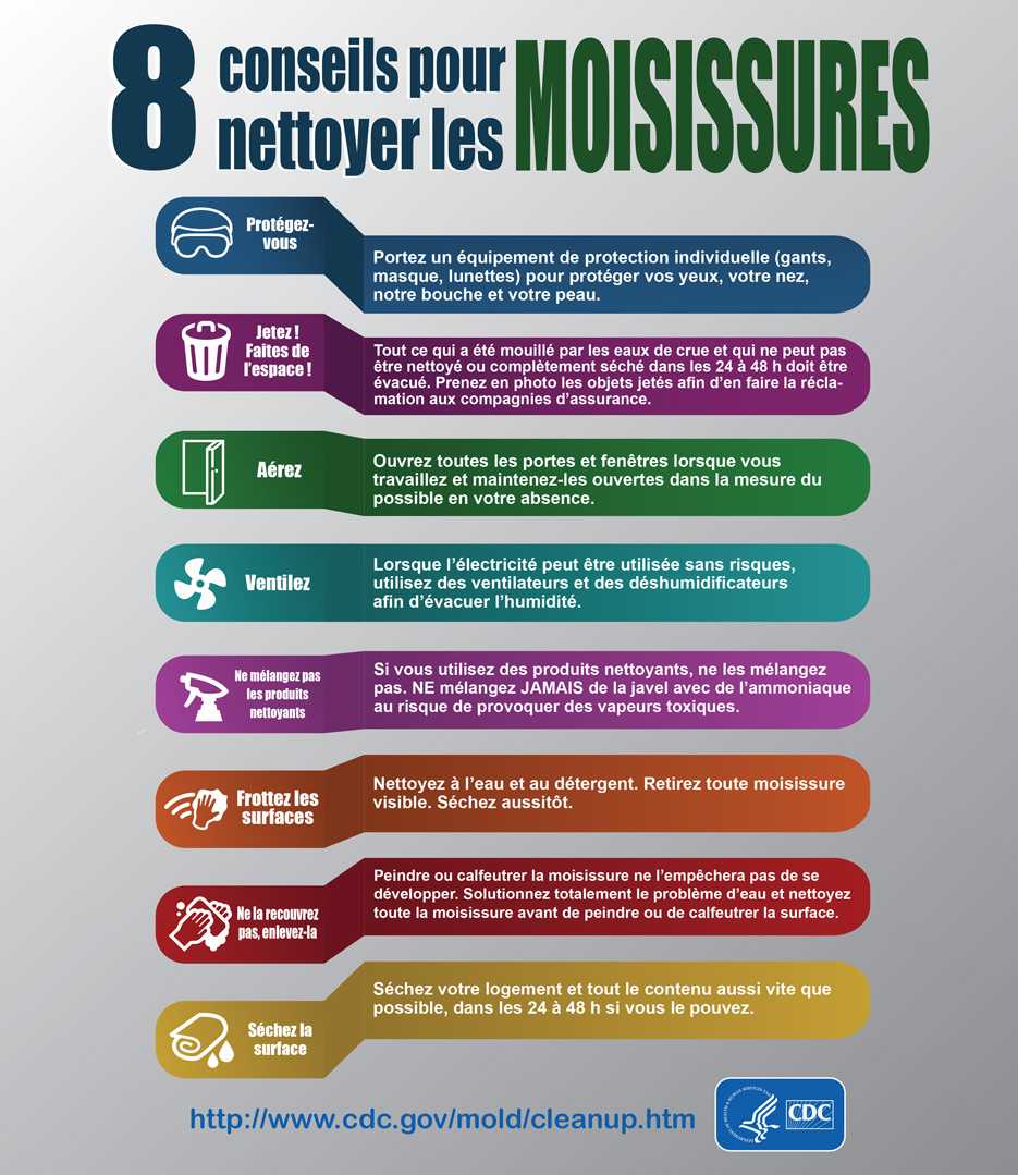 Mold Infographic - French