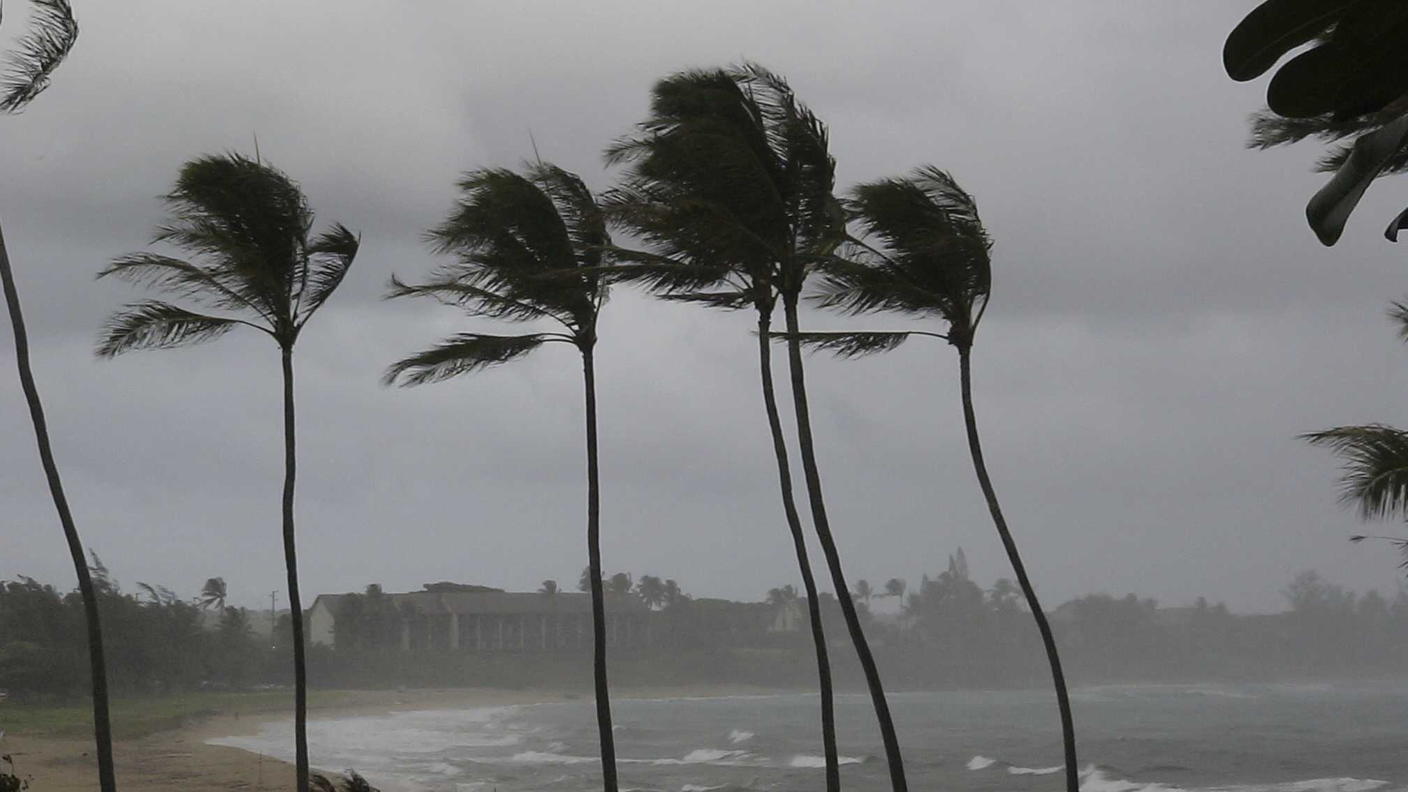 In response to hurricanes and other frequent disasters, states in the southeastern region of the United States formed the Unified Planning Coalition to support each other before, during, and after emergencies.