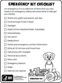 Emergency Kit Checklist