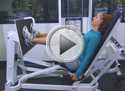 seated leg press