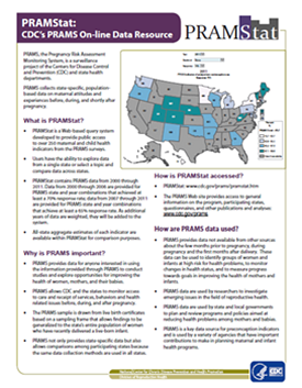 image of the PRAMStat factsheet