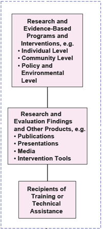 Enlargement of the Outputs section of the logic model