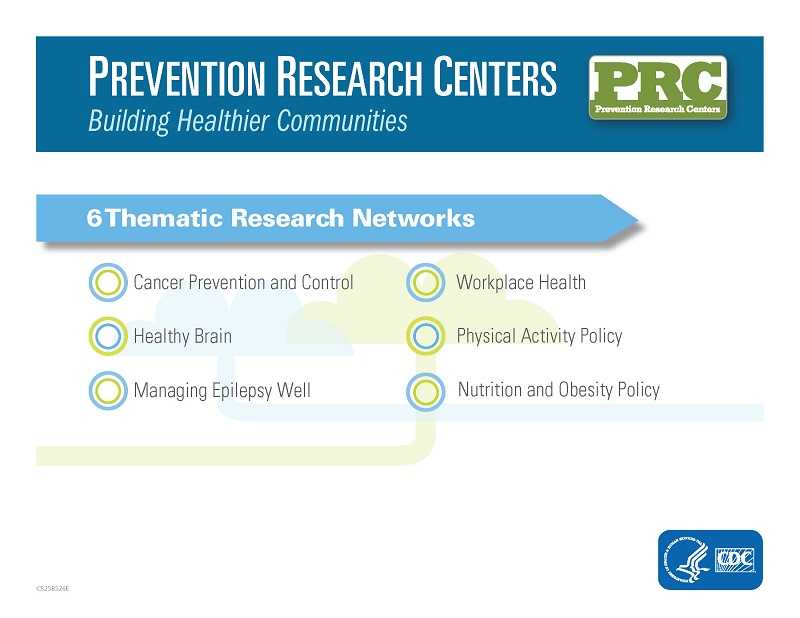 Thematic Networks Infographic