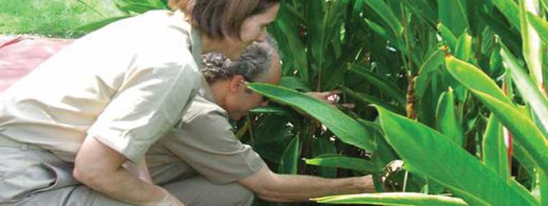 Dr. Richard Luce (PMR 2007) and his supervisor, Dr. Kay Tomashek (PMR 2000), conducting a dengue outbreak investigation in San Juan, Puerto Rico