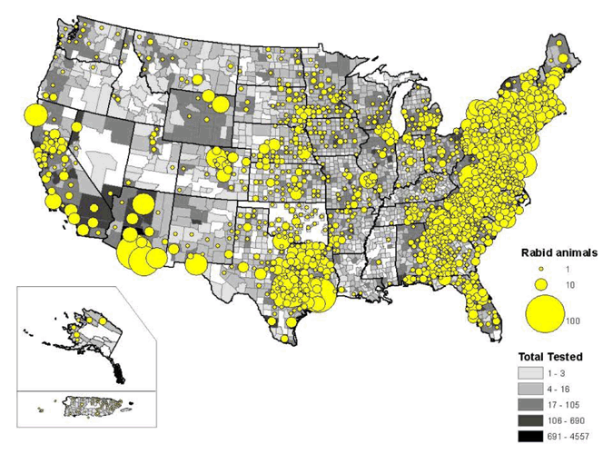 Map of rabid animals reported in the United States during 2009