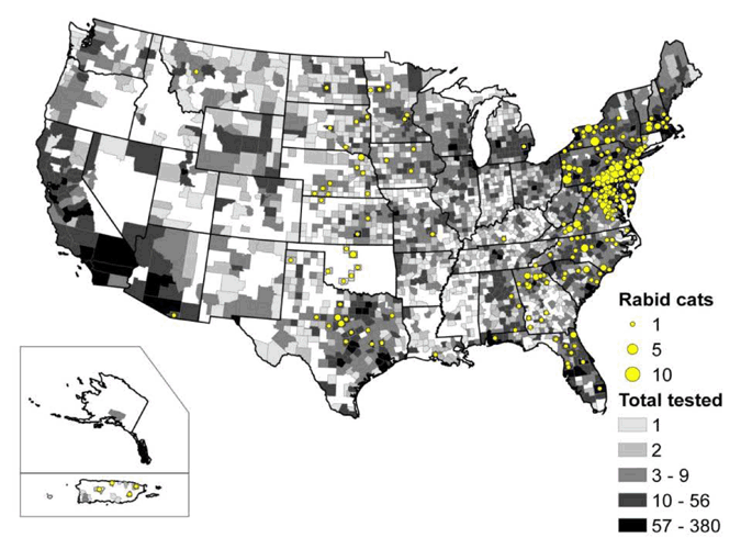 A map of rabid cats reported in the United States in 2009.