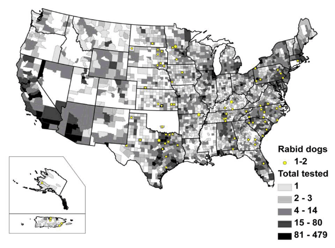 Map of rabid dogs reported in the United States during 2009