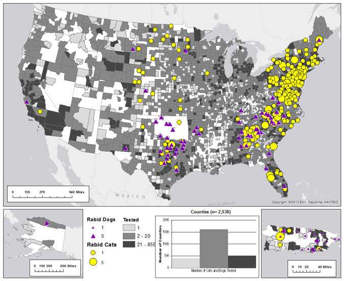 Map of rabid dogs and cats reported in the United States during 2012.