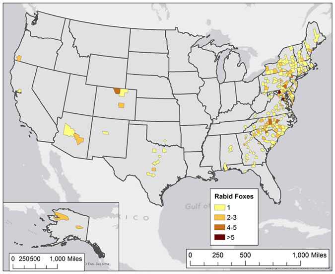 Map of rabid foxes reported in the United States during 2013.