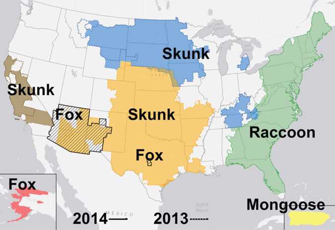 Distribution of Major Rabies Virus Variants Among Mesocarnivores in the United States and Puerto Rico, 2008 to 2014