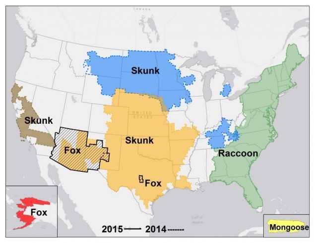 The figure shows a map of major rabies virus variants among mesocarnivores in the United States and Puerto Rico for 2008 through 2015. Black diagonal lines represent fox rabies variants (Arizona gray fox and Texas gray fox). Solid borders represent 5-year rabies virus variant aggregates for 2011 through 2015; dashed borders represent the previous 5-year aggregates for 2010 through 2014.