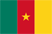 Flag of Cameroon