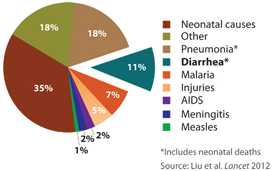 Pie chart showing the proportional distribution of cause-specific deaths among children under five years of age, 2004 (excluding neonatal deaths).