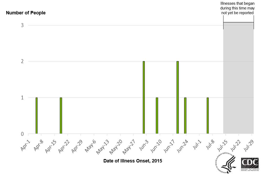 People infected with the outbreak strain of Salmonella Enteritidis, by date of illness onset*