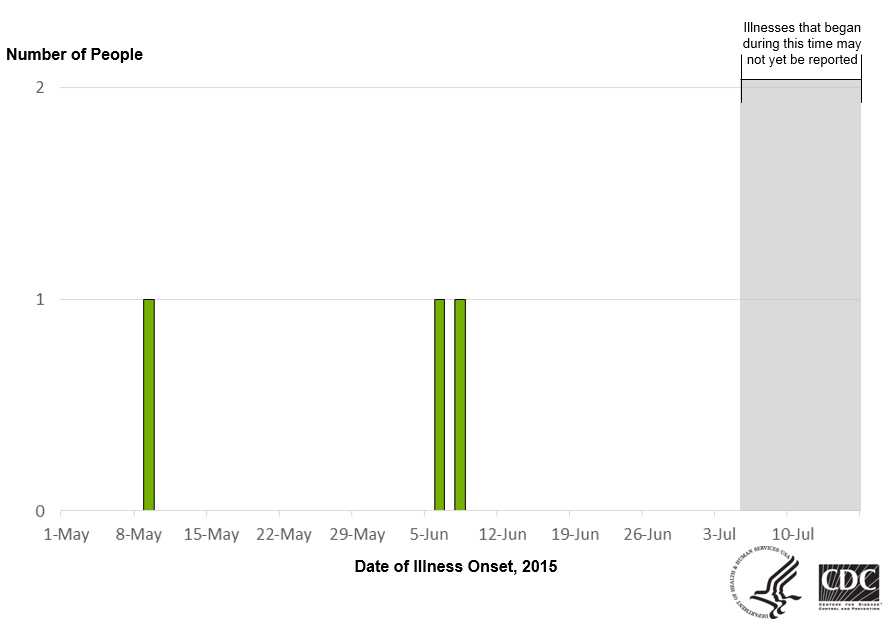 People infected with the outbreak strain of Salmonella Enteritidis, by date of illness onset*