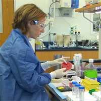 	Scientist takes bacterial cells from an agar plate.