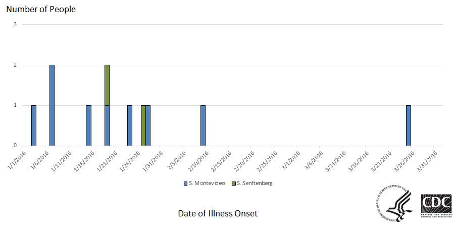 Epi Curve: People infected with the outbreak strains of Salmonella Montevideo and Salmonella Senftenberg, by date of illness onset* as of March 7, 2016