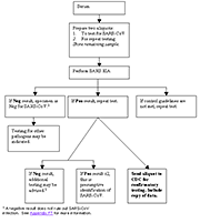 RT-PCR confirmatory testing link to large version