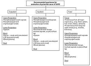 recommended specimens for evaluation link to large version