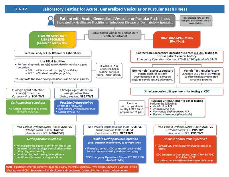 Flow-chart depicting Laboratory Testing for Acute, Generalized Vesicular or Pustular Rash Illness process.