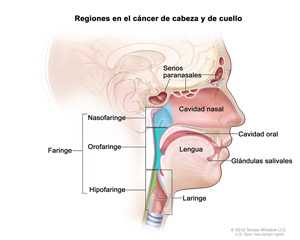 Este diagrama se describe a continuación.