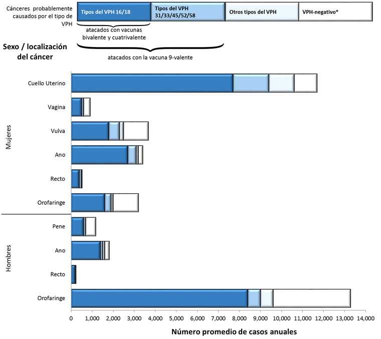 Esta gráfica muestra el número promedio de nuevos casos de cáncer en partes del cuerpo donde frecuentemente se encuentra el VPH al igual que el número y el promedio de cánceres probablemente causados por el VPH.