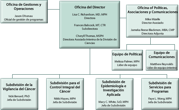 Organigrama de la División de Prevención y Control del Cáncer