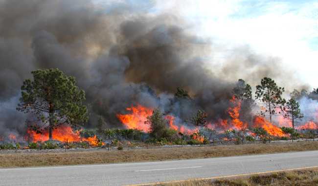 El humo de incendios forestales