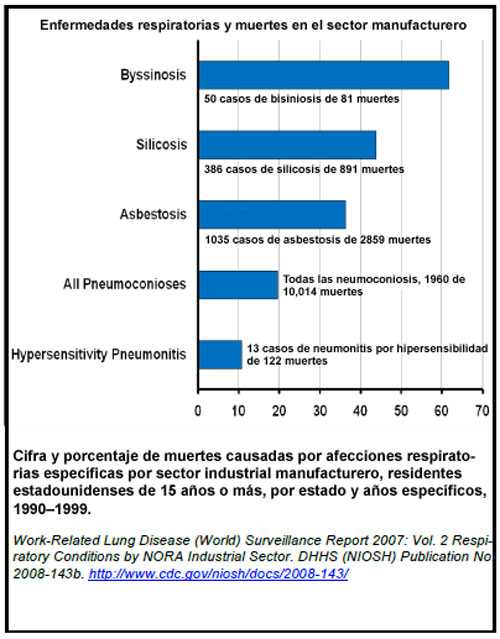 Enfermedades respiratorias y muertes en el sector manufacturero