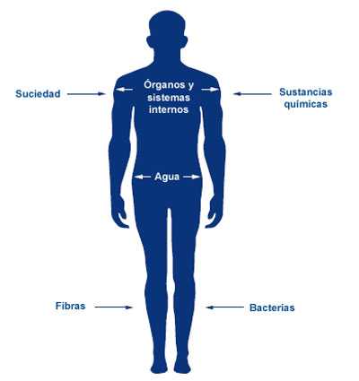 El daño en la piel reduce su capacidad de proteger el cuerpo.