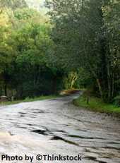 Camino rural con la superficie mojada.