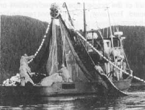 Los pescadores que no usan PFDs mientras se encuentran trabajando en las cubiertas de los barcos pesqueros comerciales corren un gran riesgo de ahogarse.