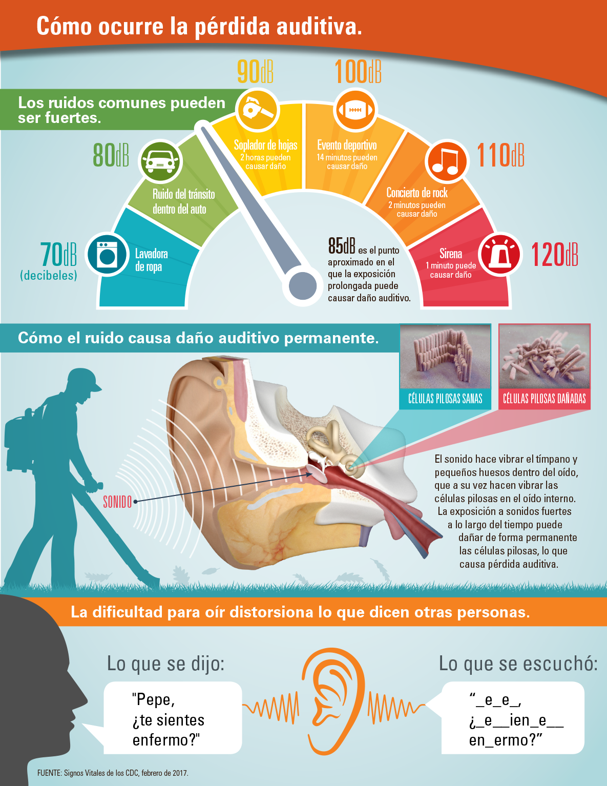 Infografía: Cómo el ruido causa daño auditivo permanente.