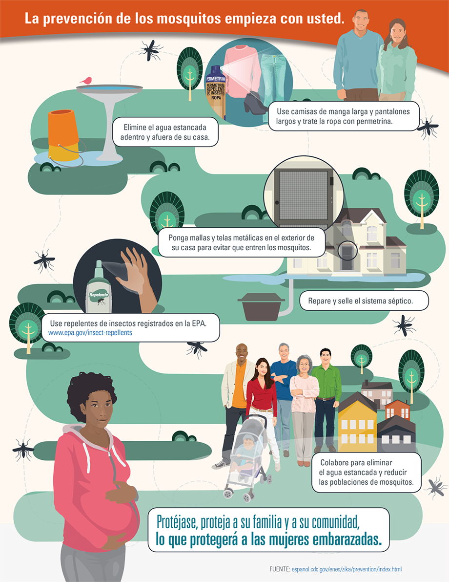 Infografía: La prevención de los mosquitos empieza con usted