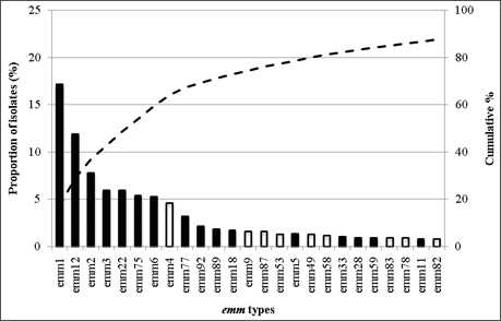 Fig 1-C: Figure 1-C. The 25 most common emm types contributing to disease in Latin America (there was a further emm type not included on this graph that was equal 25th; this was emm66): these 26 emm types accounted for 88.4% of all isolates from the region with 42 types contributing to the remaining 11.6% of isolates. Emm1, emm12, emm2, emm3, emm22, emm75, emm6, emm4, emm77, emm92, emm89, emm18, emm9, emm87, emm53, emm5, emm49, emm58, emm33, emm28, emm59, emm83, emm78, emm11, emm92.